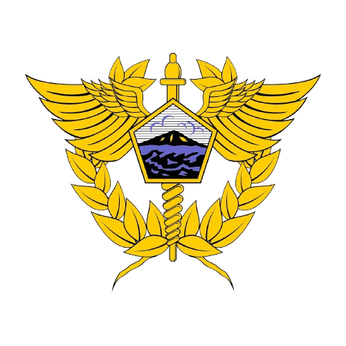 Logo Bea Cukai Buru Selatan